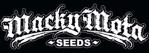 MackyMota logo